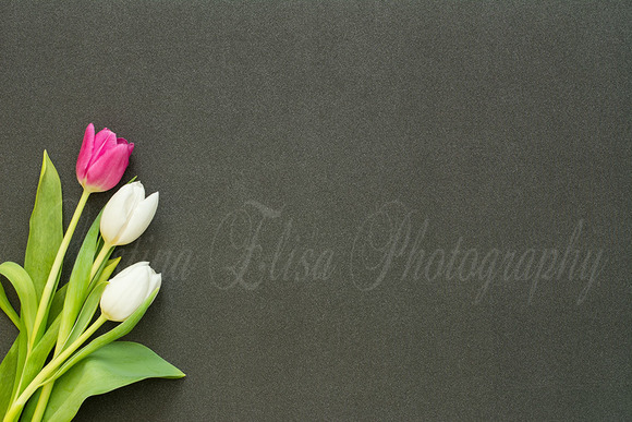 Tulips On Black Glitter Desk Photo Tulips On Black Glitter Desk Photo