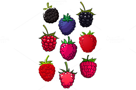Red Raspberry And Blackberry Fruits Red Raspberry And Blackberry Fruits