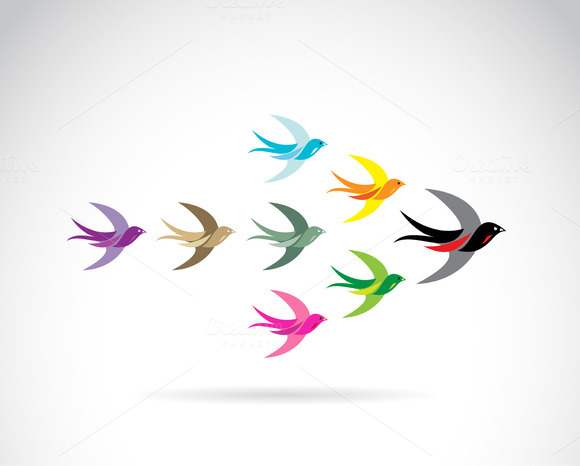 Group Of Colorful Swallow Birds Group Of Colorful Swallow Birds