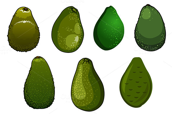 Dark Green Isolated Avocado Fruits Dark Green Isolated Avocado Fruits