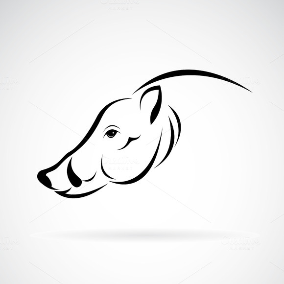 Cartoon Or Picture Of Boar Head » Designtube - Creative Design Content