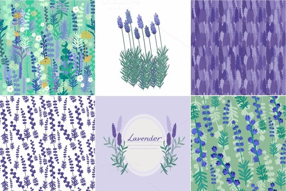 Lavender Set Patterns Flowers