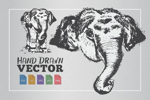 Elephant Hand Drawn Illustration Elephant Hand Drawn Illustration