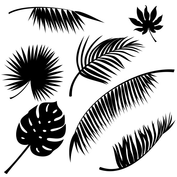 Tropical Leaf Outline » Designtube - Creative Design Content