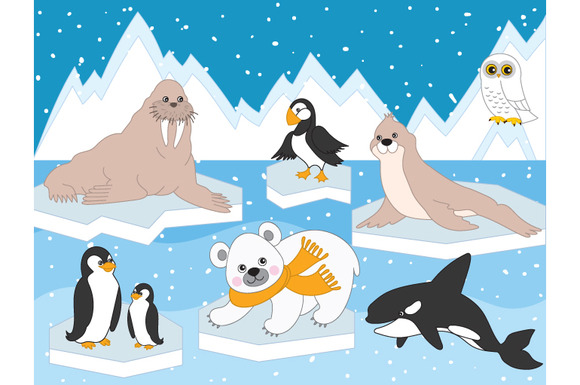 polar animals clipart - photo #13