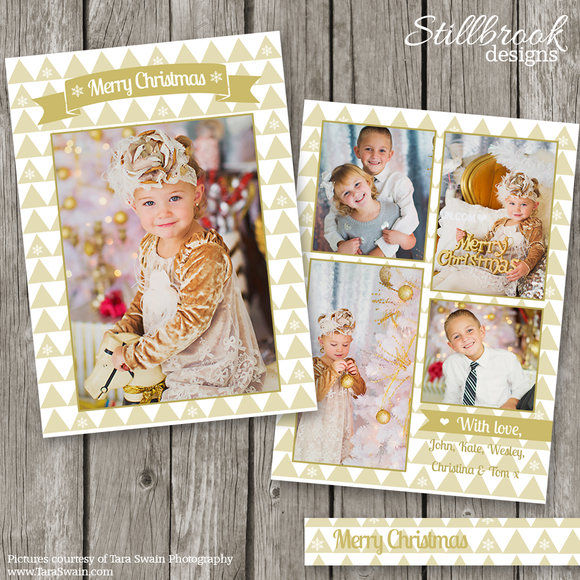 2014 Christmas Card Template 2014 Christmas Card Template