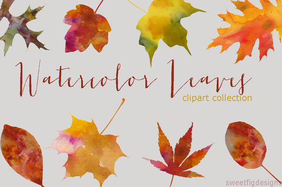 watercolor leaves clipart - photo #9