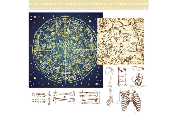 Human Skeleton Bones Celestial Map Human Skeleton Bones Celestial Map