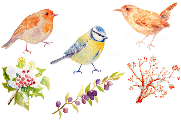 garden birds clipart - photo #6