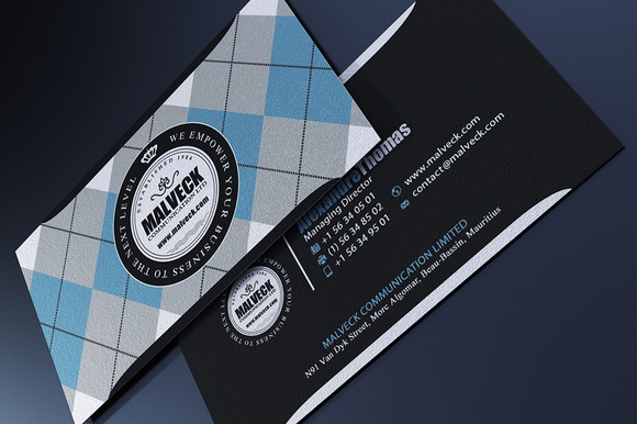 Argyle Business Card Argyle Business Card