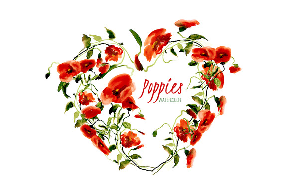¡í15 Poppies Red With Splashes ¡í15 Poppies Red With Splashes