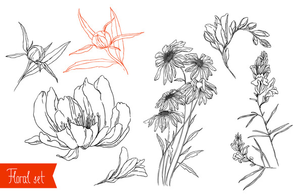 Floral Thin Line Vector Set Floral Thin Line Vector Set