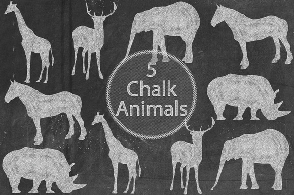 Chalk Animals Chalk Animals
