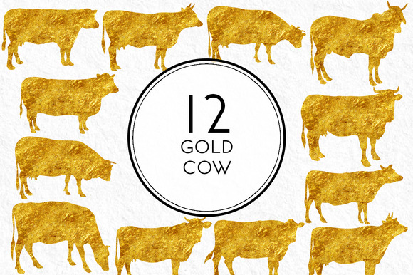 Gold Cows Gold Cows