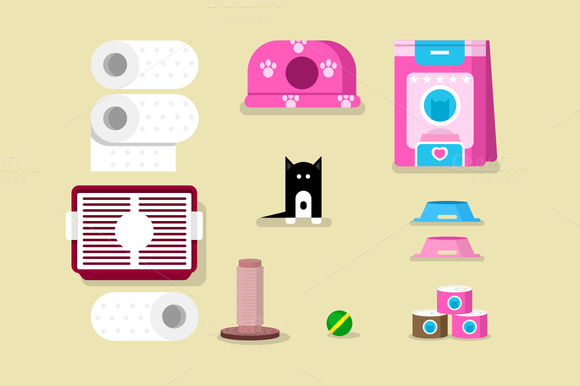 Kitten And Accessories Kitten And Accessories