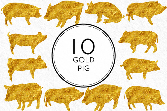 Gold Pigs Gold Pigs