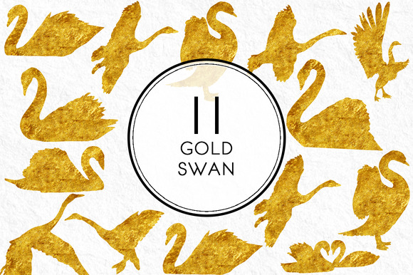 Gold Swan Gold Swan
