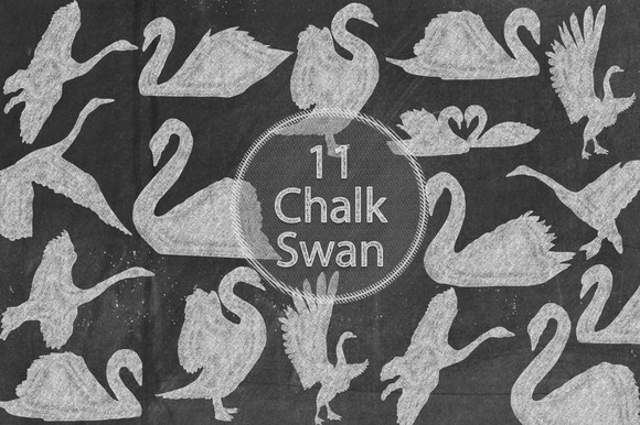 Chalk Swan Chalk Swan