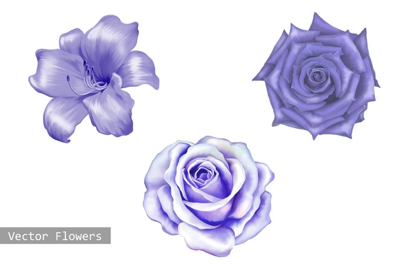 Purple Lily And Rose Flowers Vector Purple Lily And Rose Flowers Vector