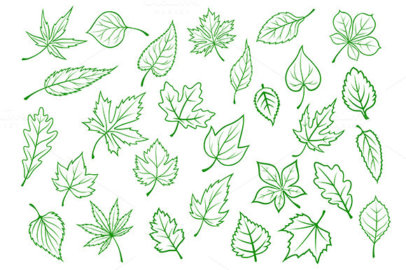 Green Leaves Set In Outline Style Green Leaves Set In Outline Style
