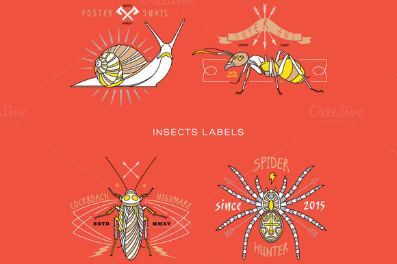 Thin Line Insect Labels Thin Line Insect Labels