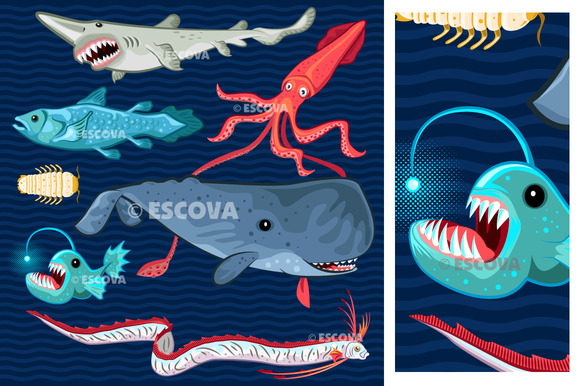 Fish Of The Deep Blue Sea Collection Fish Of The Deep Blue Sea Collection