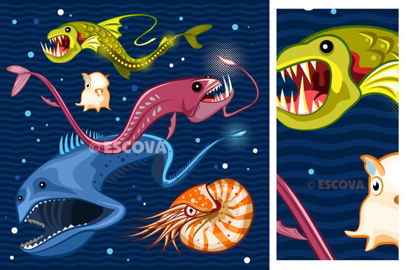 Fish Of The Deep Blue Sea Collection Fish Of The Deep Blue Sea Collection