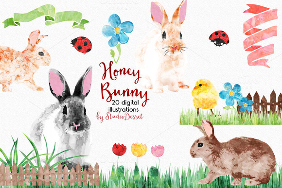 honey bunny clipart - photo #17