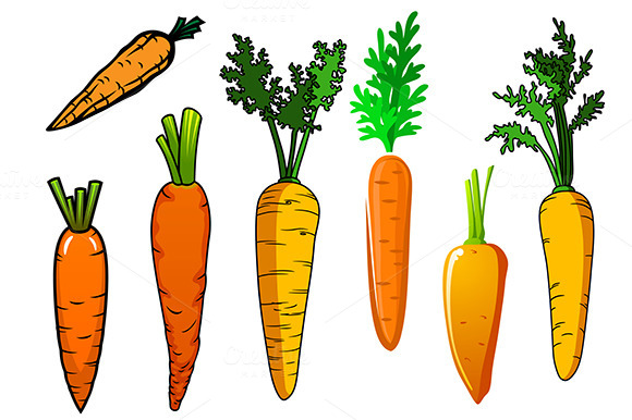 Fresh Ripe Orange Carrot Vegetables Fresh Ripe Orange Carrot Vegetables