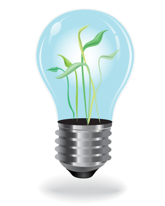 Growing Plants Bulb Growing Plants Bulb