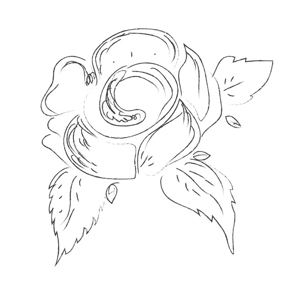 Flower Sketch Flower Sketch