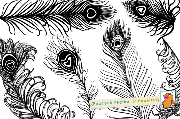 Download Peacock Feather Silhouettes ~ Illustrations on Creative Market