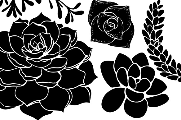 Succulent Silhouette Clip Art ~ Illustrations on Creative Market