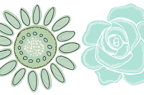 Mint Green Flower ClipArt - Clip Art ~ Illustrations on Creative Market