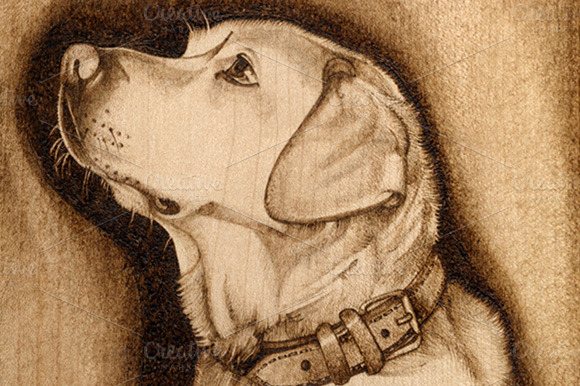 Download Labrador Pyrography Pattern ~ Illustrations on Creative Market