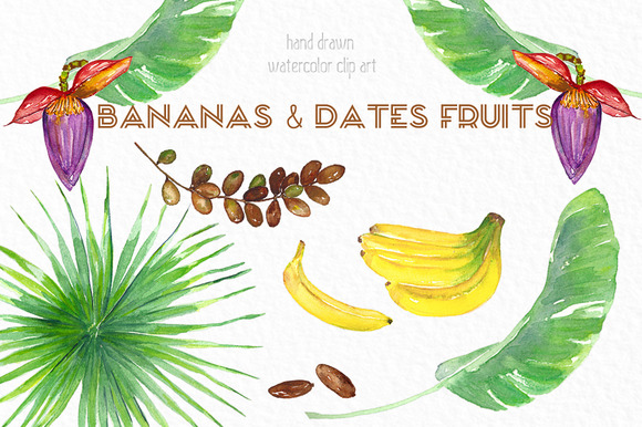 Banana Dates Fruits Watercolor