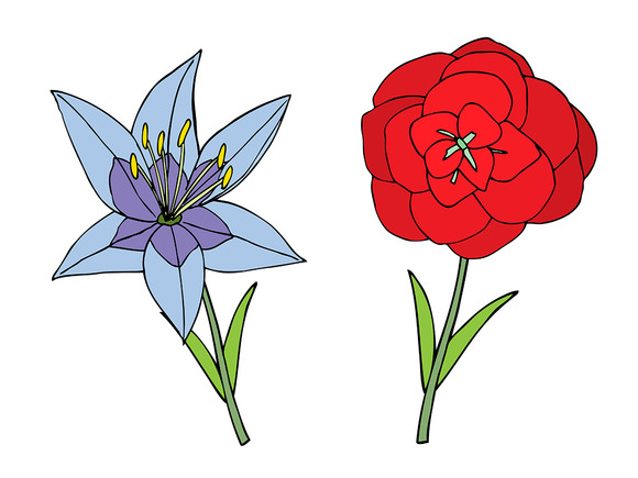 Doodles Flowers Collection Doodles Flowers Collection
