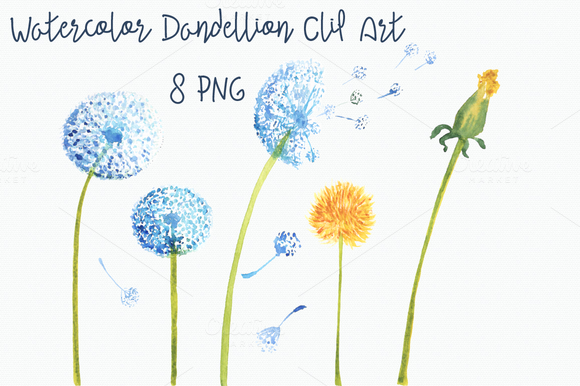 Watercolor Dandellion Clip Art Watercolor Dandellion Clip Art
