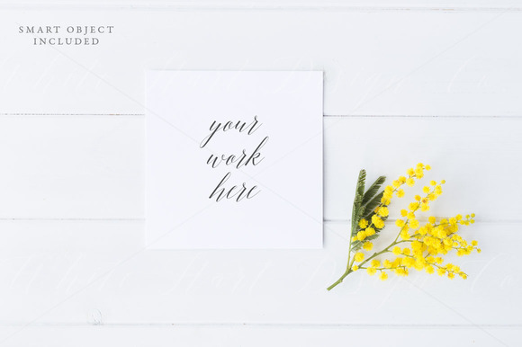 Styled Stock Photo Square Card