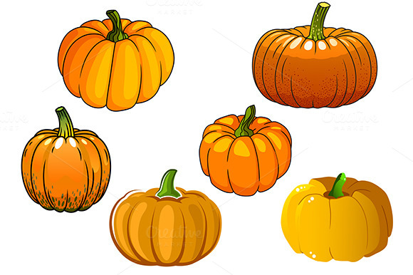 Ripe Orange Pumpkin Vegetables Ripe Orange Pumpkin Vegetables