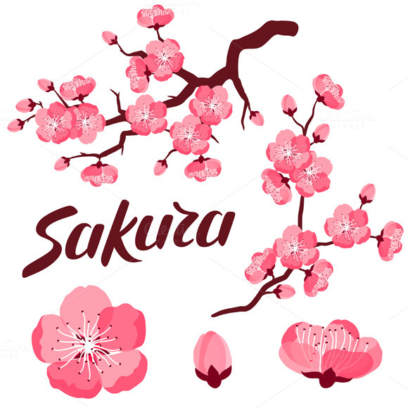 Japanese Sakura Set Of Branches Japanese Sakura Set Of Branches