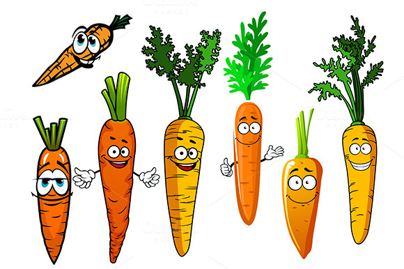 Funny Orange Ripe Carrot Vegetables