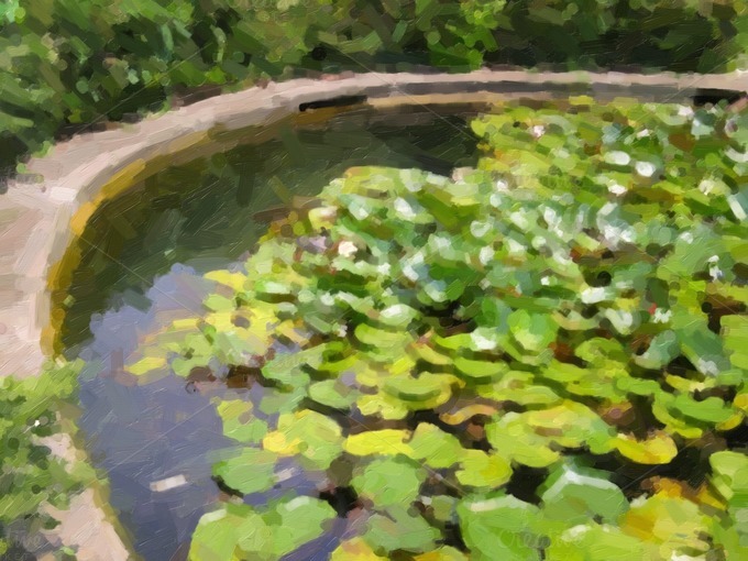 Retro Look Water Lily Nimphaea Oil Paint Retro Look Water Lily Nimphaea Oil Paint