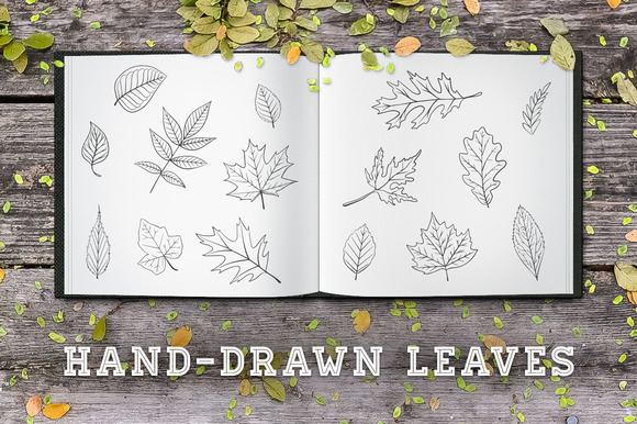 Hand-Drawn Leaves