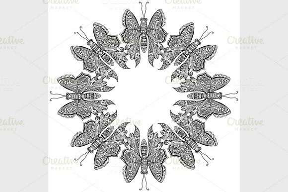 Amazing Fly Butterflies Amazing Fly Butterflies
