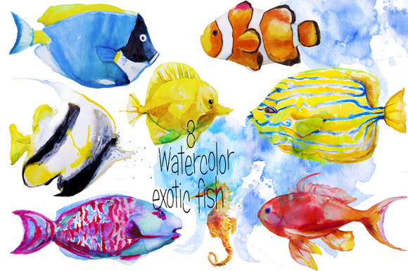 Set With Watercolor Exotic Fish Set With Watercolor Exotic Fish