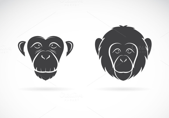 Vector Image Of Monkey Face Vector Image Of Monkey Face
