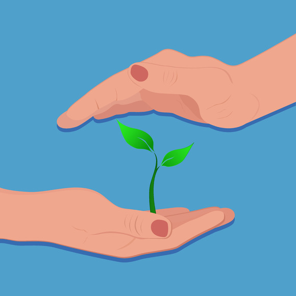Hands Protecting Plant Care Concept Hands Protecting Plant Care Concept