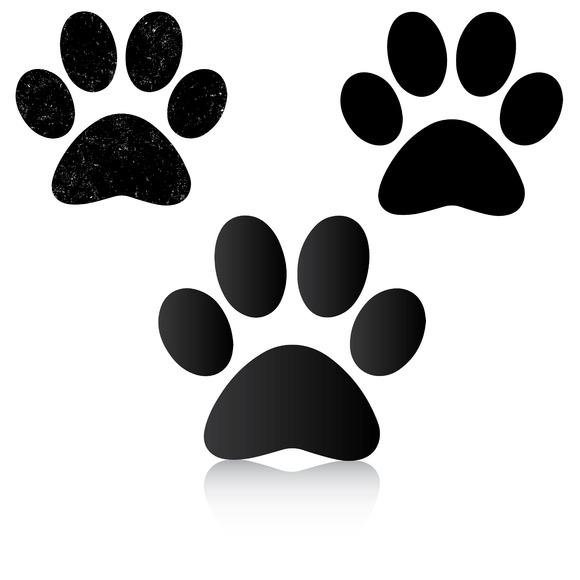 Paw Print Paw Print