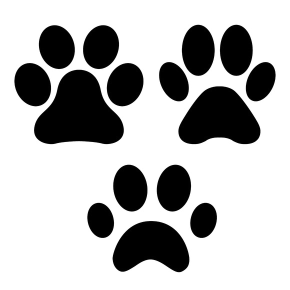 Paw Print Paw Print